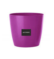 PUSHPA PLANTER 25